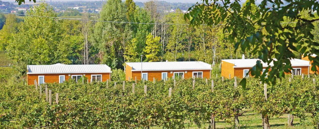 Agriturismo B&B Corte Tonolli ヴァレッジョ・スル・ミンチョ エクステリア 写真